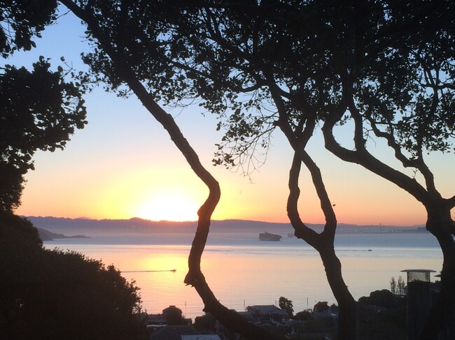 Building Photo - 626 Main St