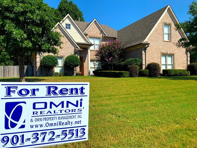 Primary Photo - Available Now!