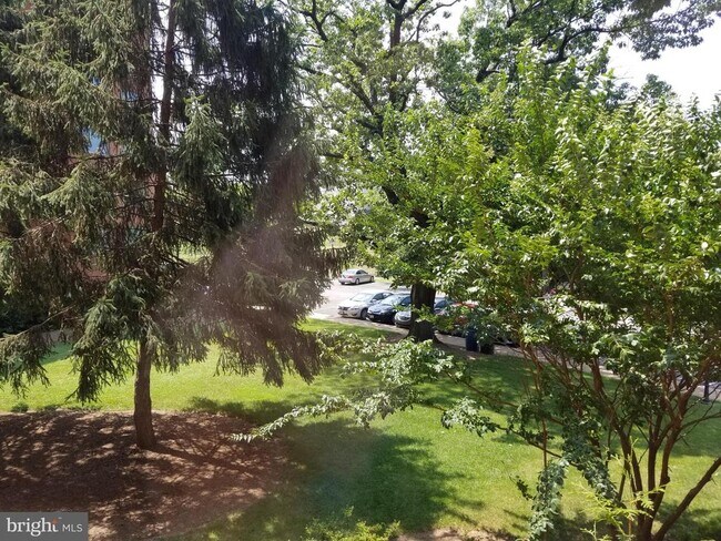 Building Photo - 1111 Arlington Blvd