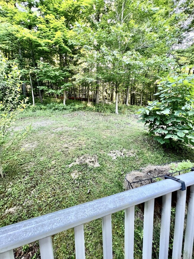 Building Photo - 229 Palisades Dr