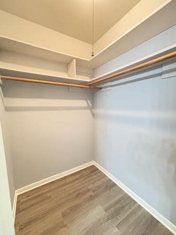 Building Photo - 8231 Roebourne Ln