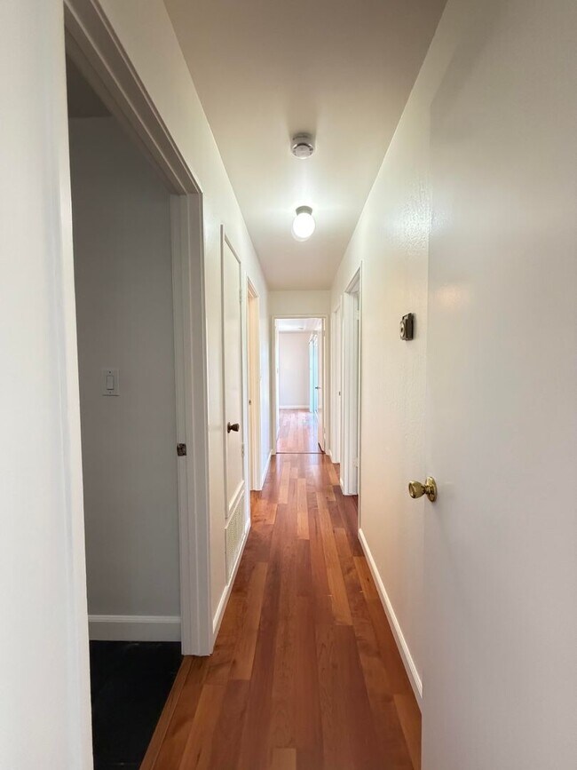 Building Photo - 3555 Magnolia Dr