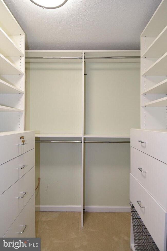 Building Photo - 4037 Broadwire Dr