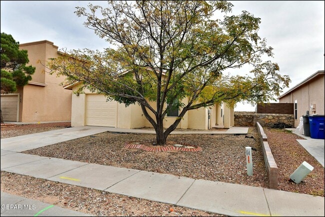 Building Photo - 14164 Robert Ituarte Dr