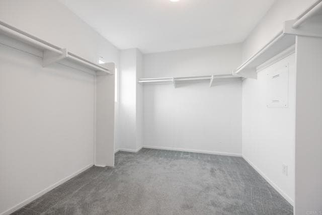 Building Photo - 4353 Saddlehorn Way