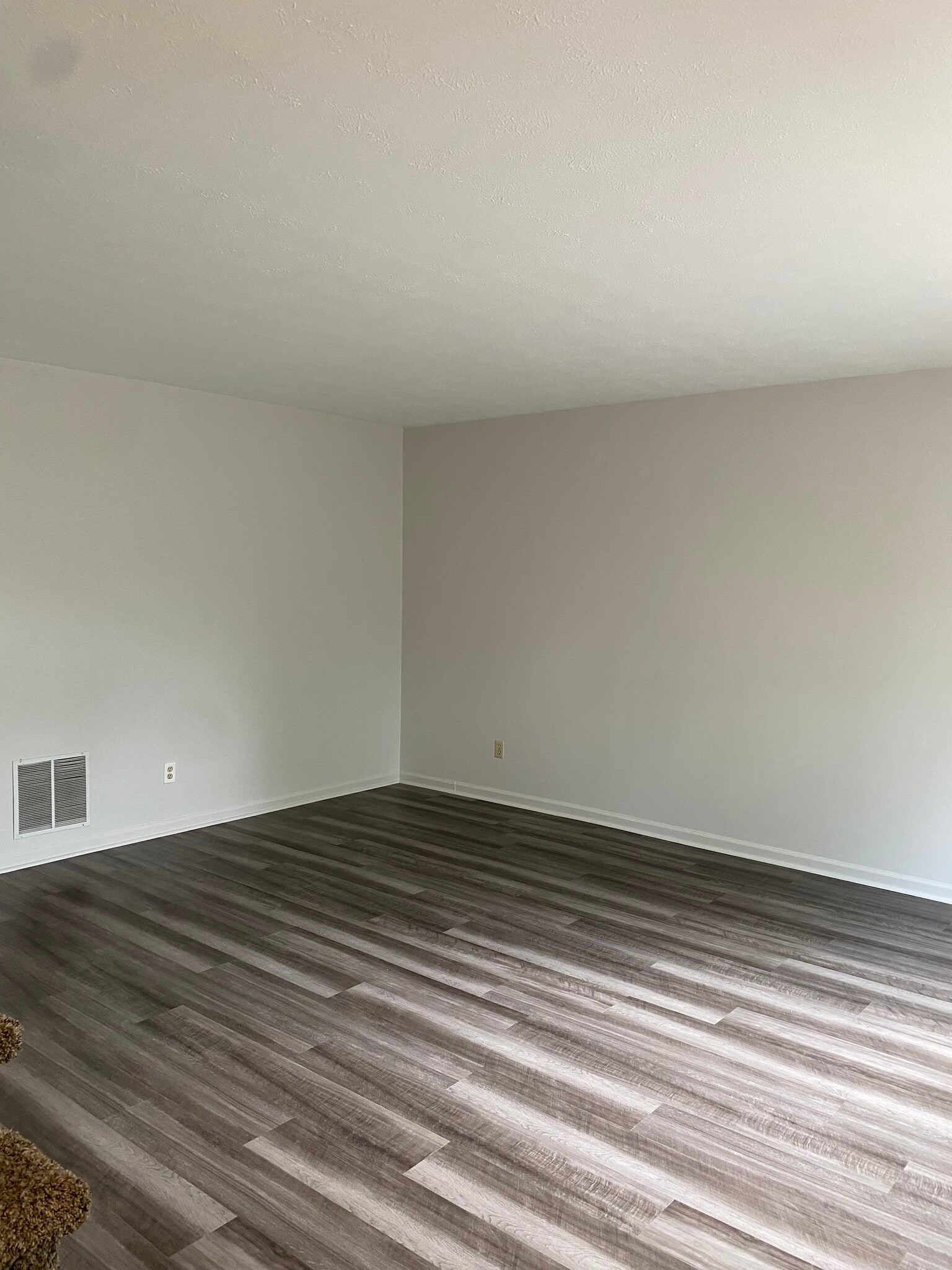 Building Photo - 506 Deer Lick Pl