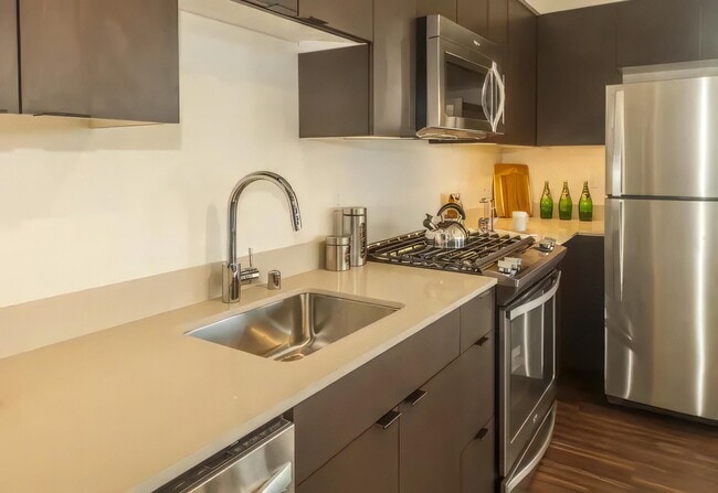 Cesarstone Countertops and Stainless Appliances - Ballard Lofts