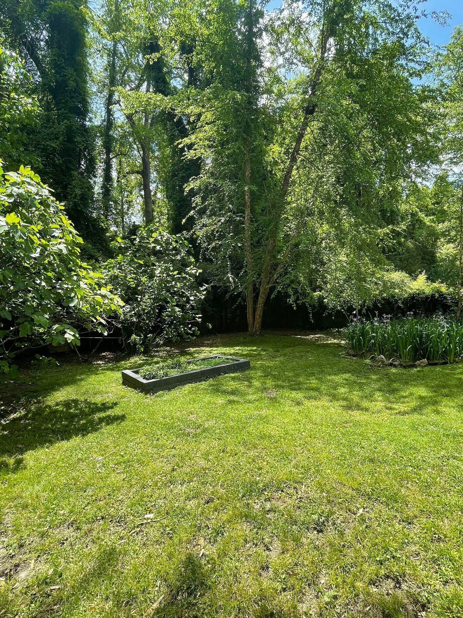 Building Photo - 320 N Poplar St