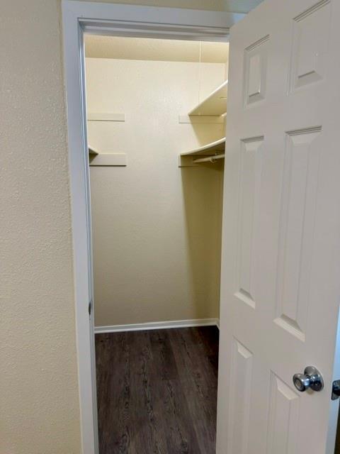 Building Photo - 11912 Tanglebriar Trail