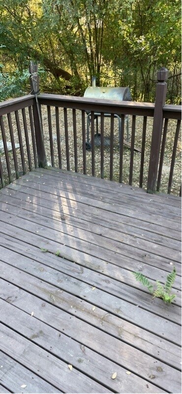 Building Photo - 2470 Nugget Ln