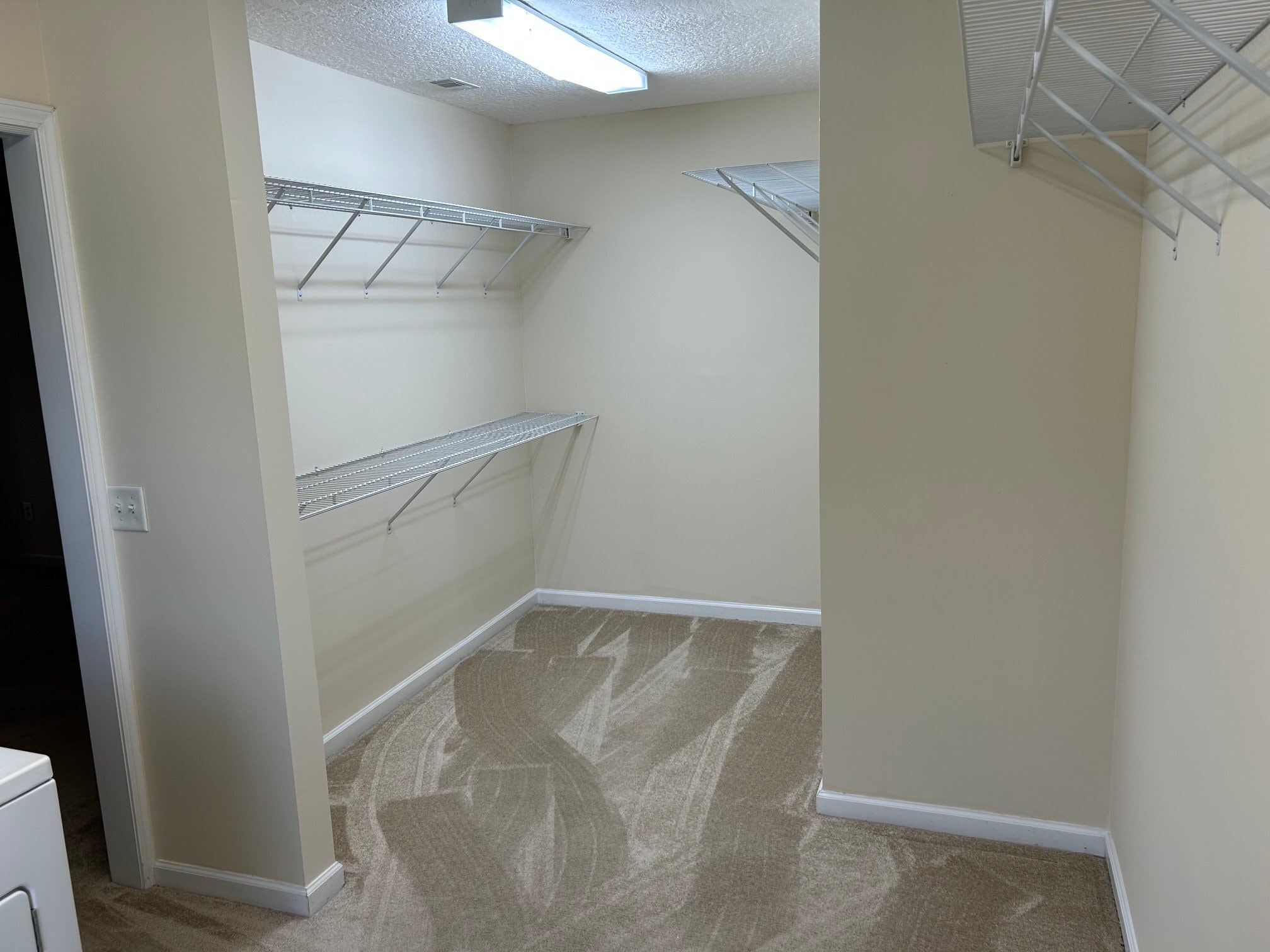 Building Photo - 3809 Doe Ln