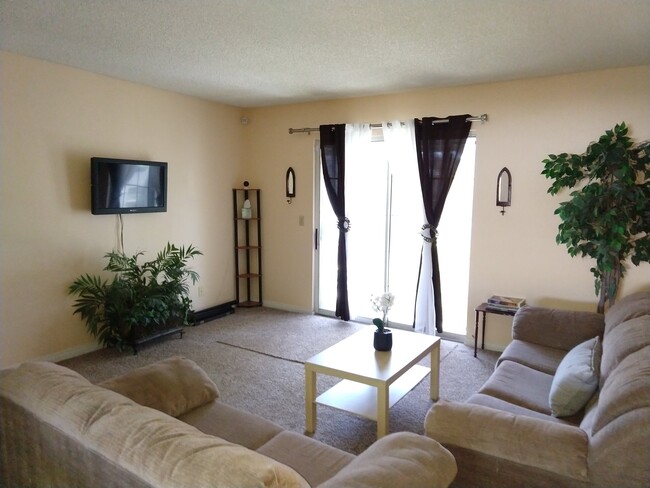 Living room looking towards Patio - 3823 S Maryland Pky