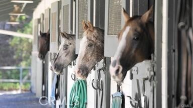 Building Photo - 2139 Ronda Granada