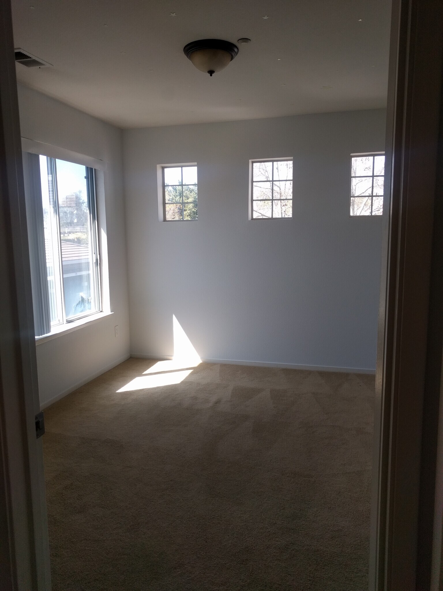 Building Photo - 5674 Impatiens Cmn