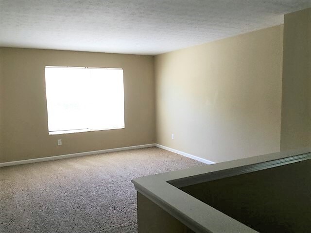 Building Photo - 11350 High Timber Dr