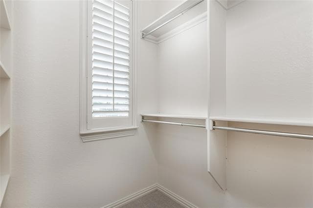 Building Photo - 921 Pine Burst Dr