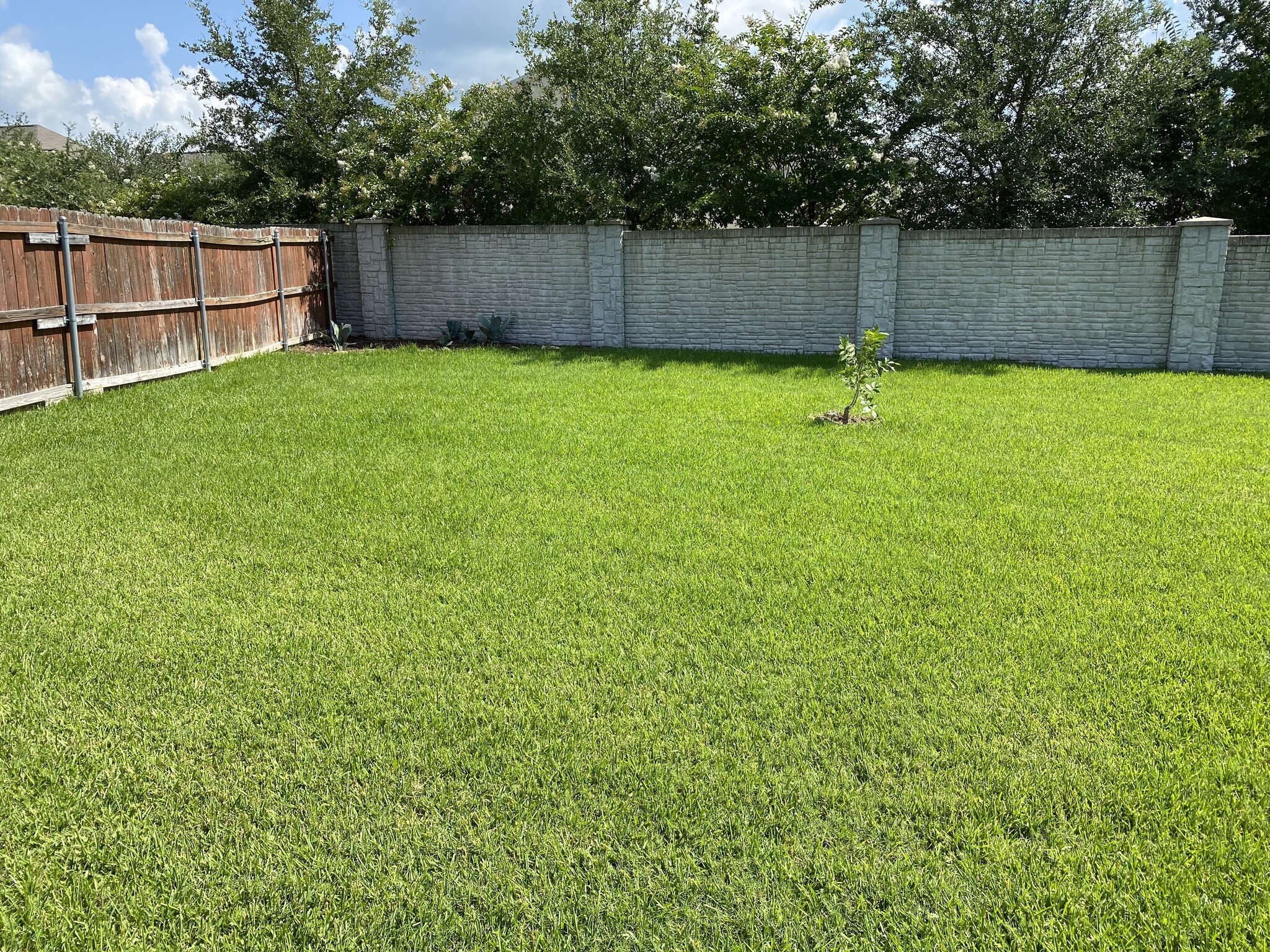 Backyard 1 - 4307 Addison Ct