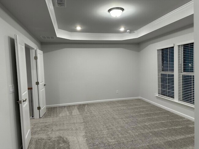 Building Photo - 1007 Blissful Waters St