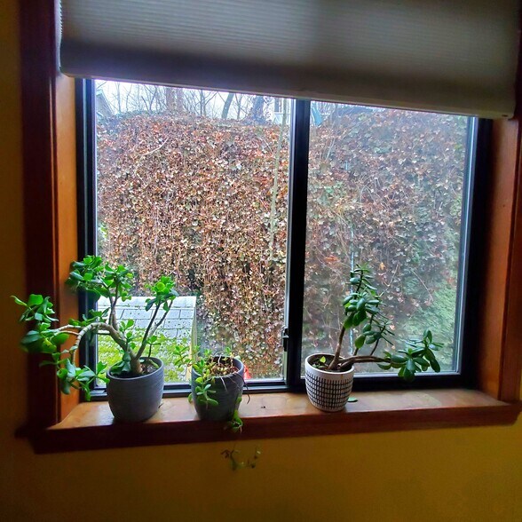 Master bedroom window - 191 Elliot St