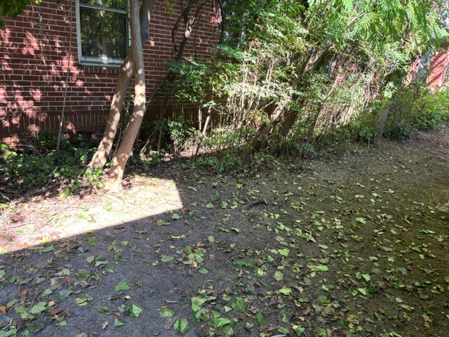 Building Photo - 1029 Kinard Ct
