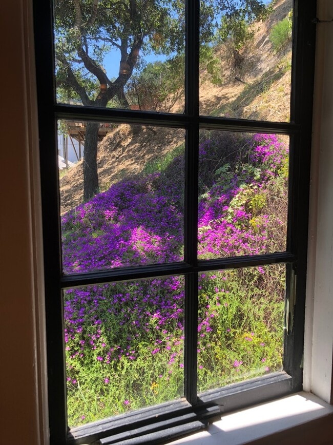 Building Photo - Country Charm In The City!