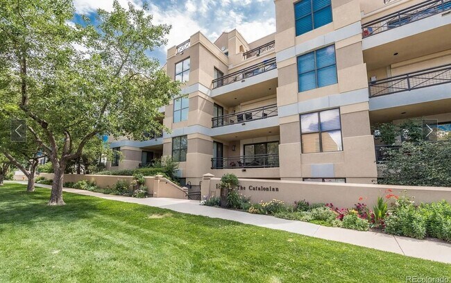 Primary Photo - 1 bedroom, 1 bath Cherry Creek North - Ava...