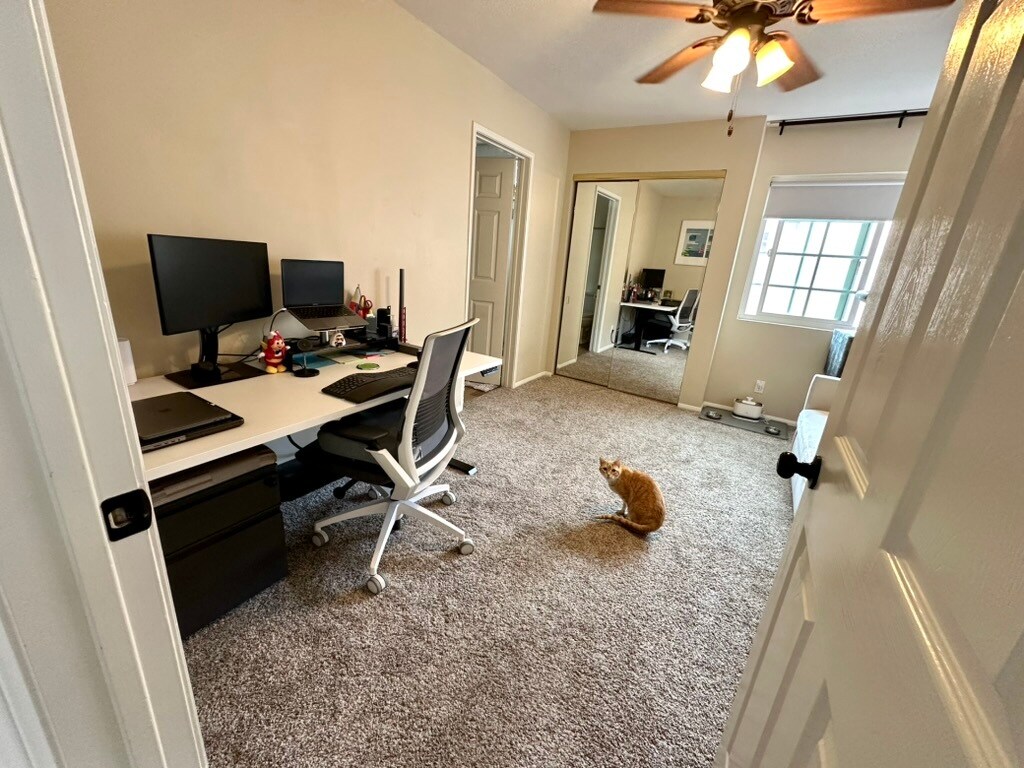 Building Photo - 537 N Adams St