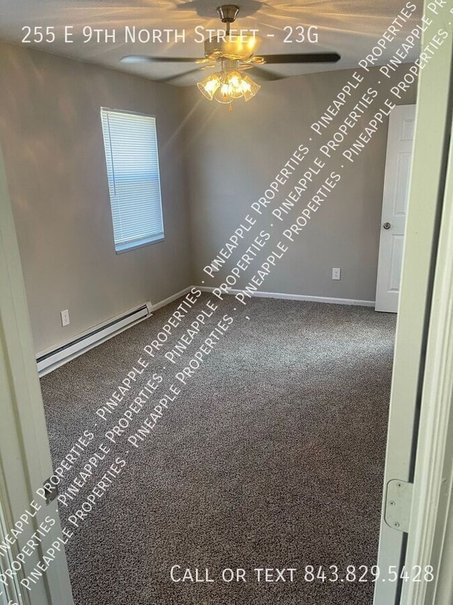 Building Photo - 255 E 9th N St