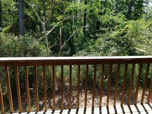 Building Photo - 2 Bedroom, 1 bath apartment