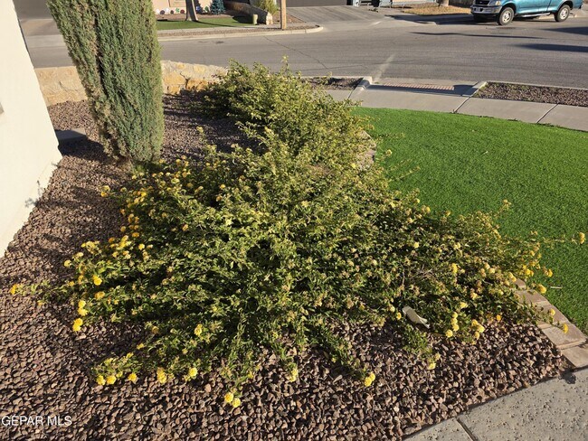 Building Photo - 13197 Hazy