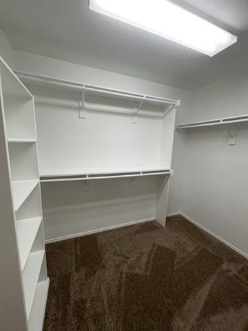 Building Photo - 8509 Hawks Nest Dr