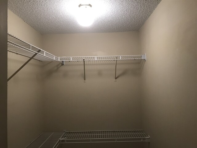 Building Photo - 4718 Vineyard Ct