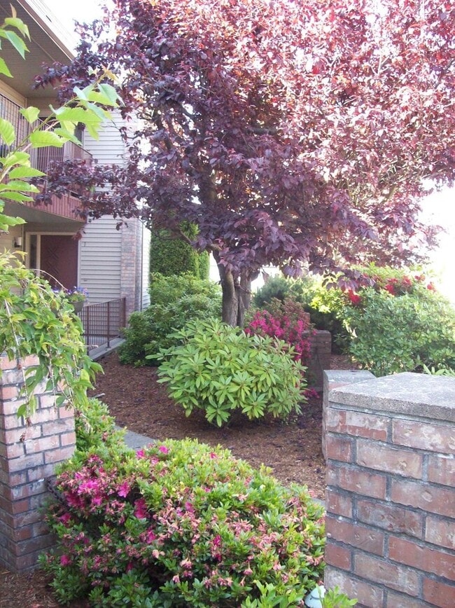 Building Photo - Price Reduction! 2 Bedroom Condo with a View.