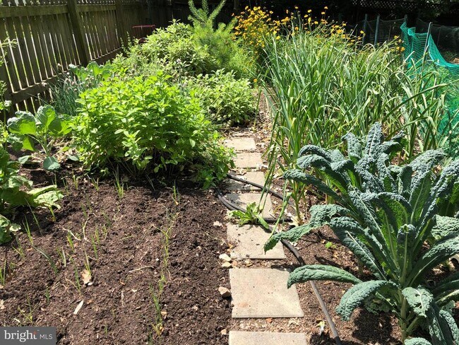 Building Photo - 900 N Livingston St