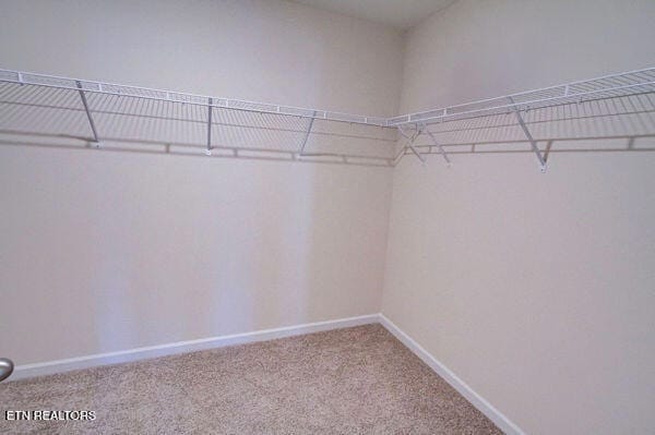 Building Photo - 12152 Evergreen Terrace Ln