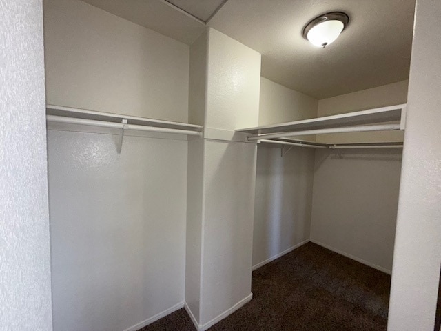 Building Photo - 344 Velino Ave