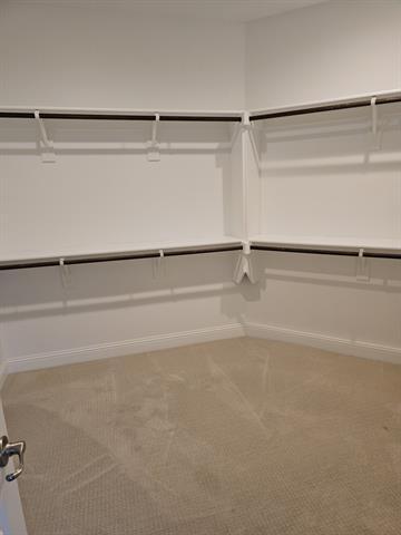 Building Photo - 3608 Rainwater Trl