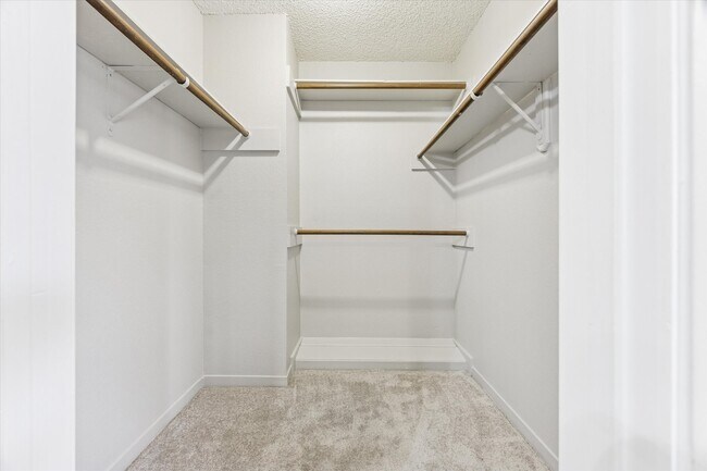 Building Photo - 5933 Woodway Place Ct