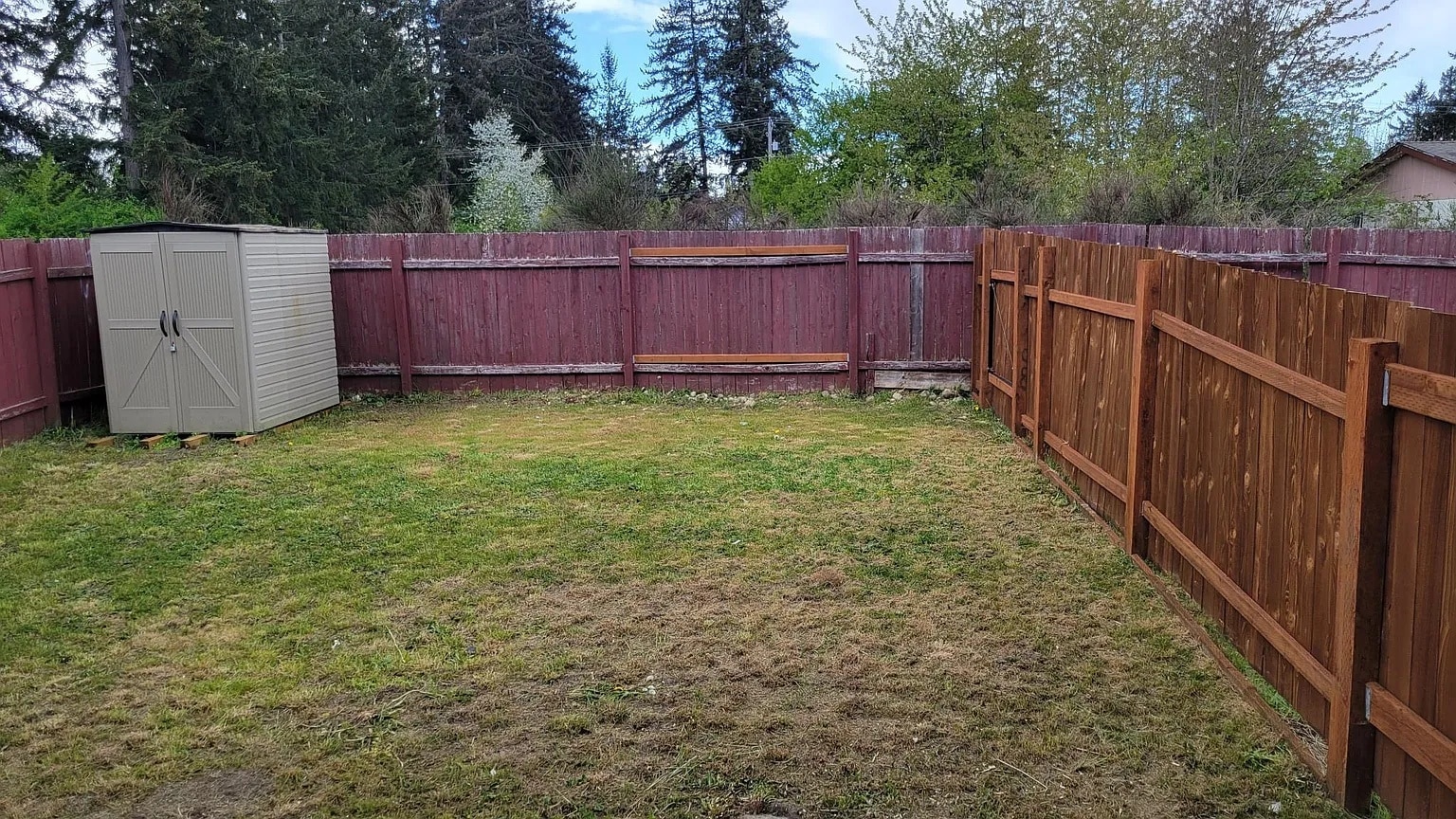 Yard - 17326 15th Ave E