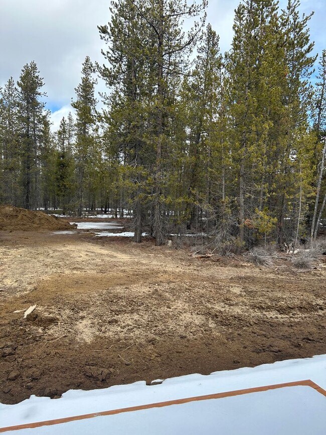 Building Photo - Brand New Home