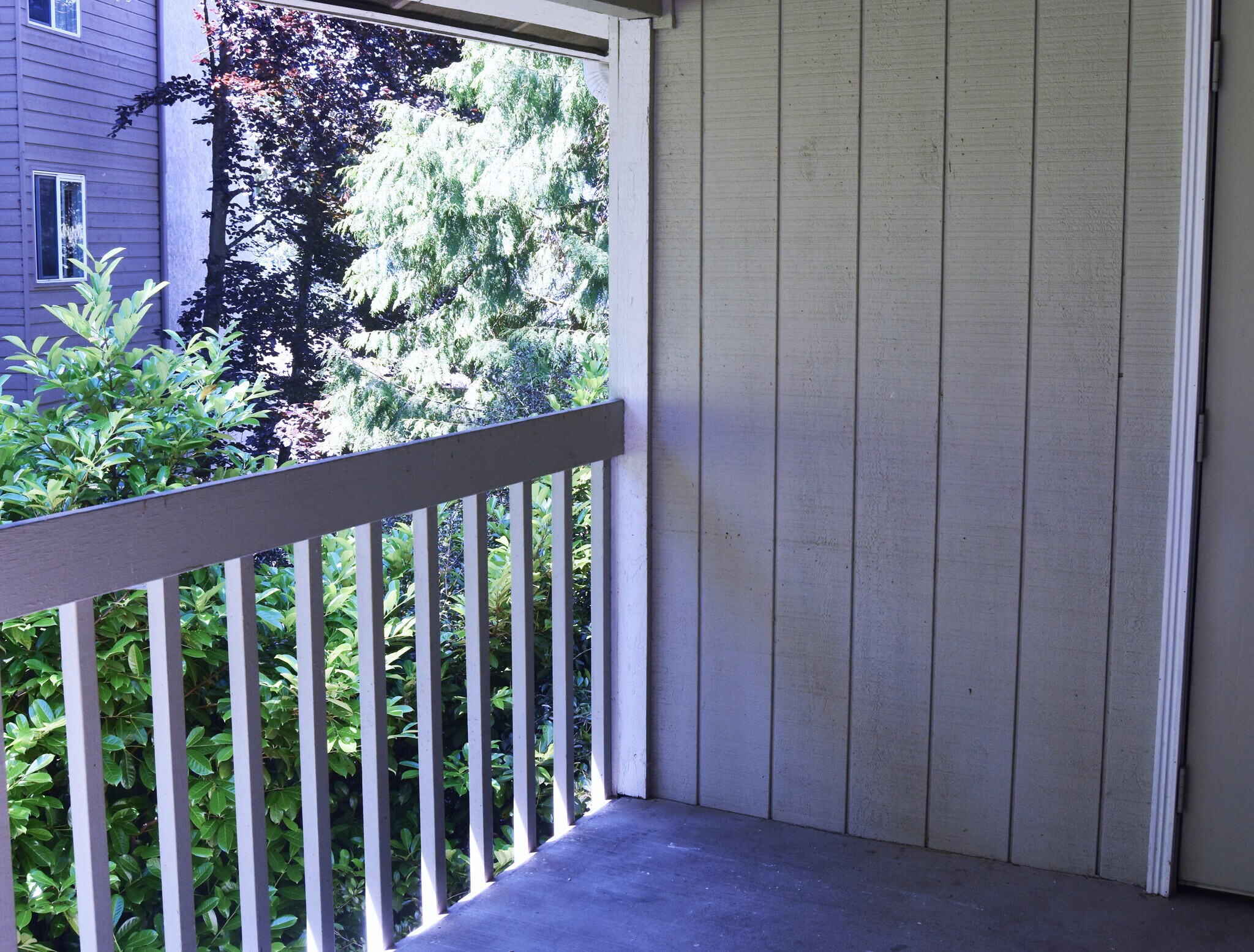 Deck - 11711 100th Ave NE