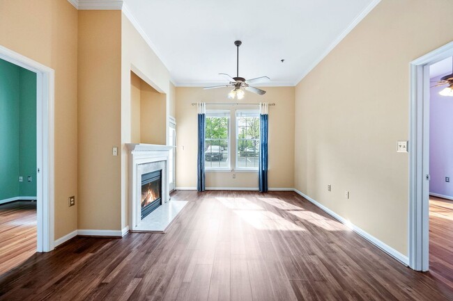 Building Photo - 171 Somervelle St