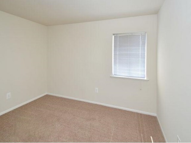 Second Bedroom - Tide Mill Apartments