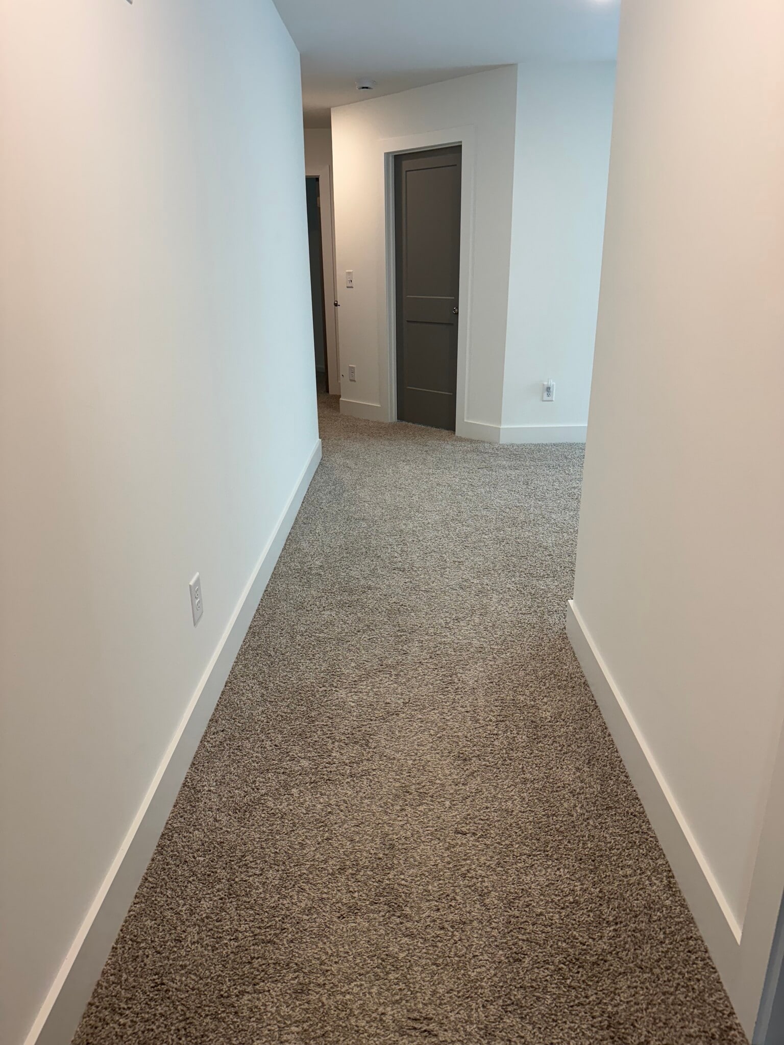 Building Photo - 3411 Adler Trl