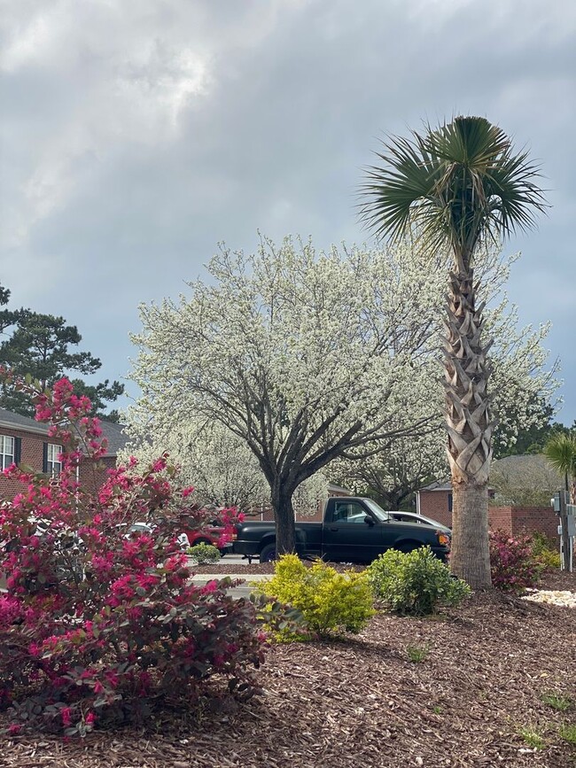 Building Photo - Two bedroom 2 bath apartment available