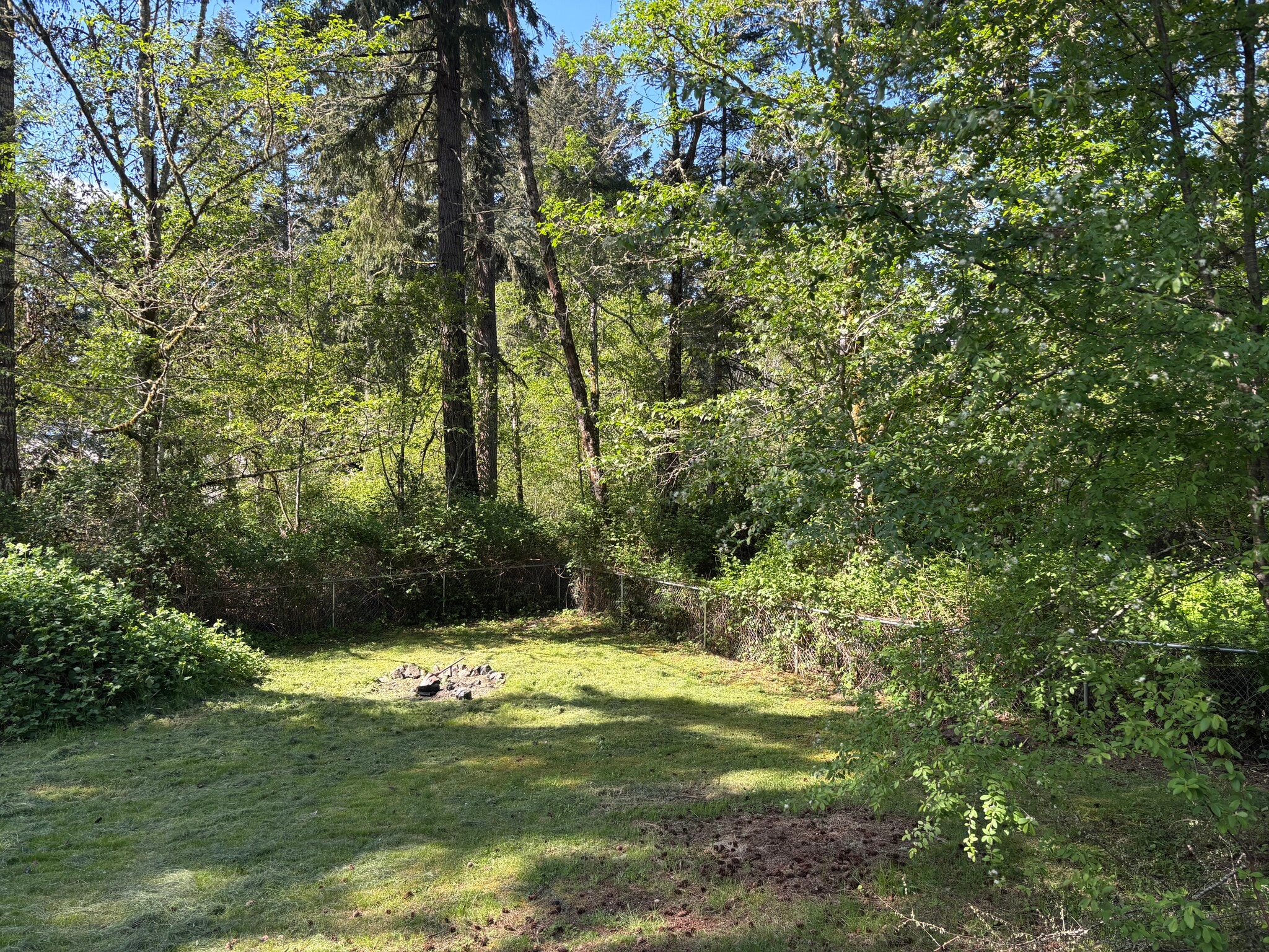 Yard - 14713 113th St NW