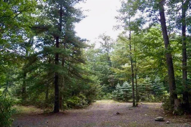 Building Photo - 15 Norfolk Ct