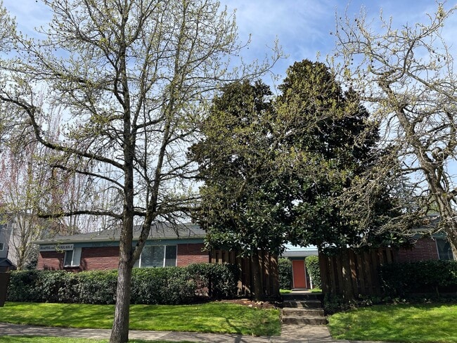 Building Photo - Lower 1bed, bike storage, great location, all dogs welcome!