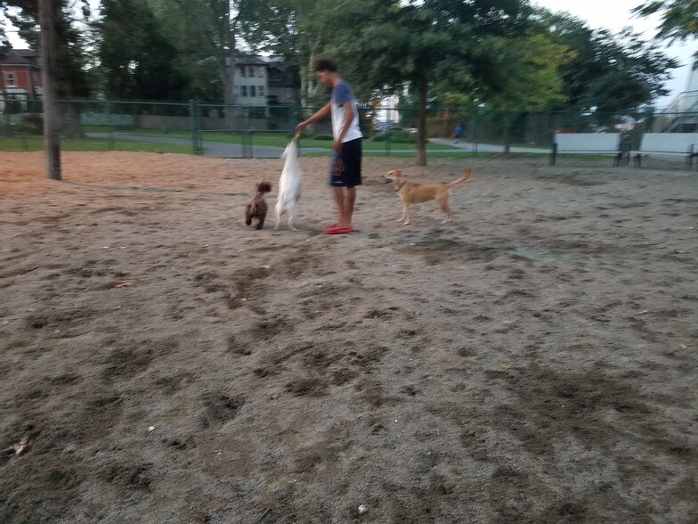 massive dogpark nearby - 165 New York Ave