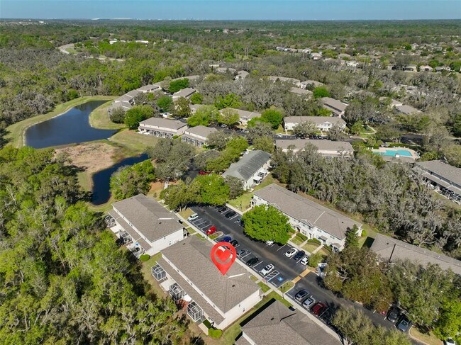 Building Photo - 15843 Fishhawk View Dr